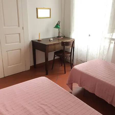 Mimosa Calvanico